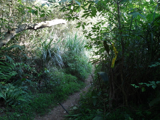 牛埔寮古道 (104).JPG