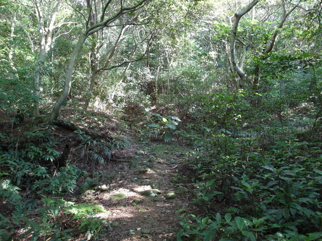 牛埔寮古道 (107).JPG