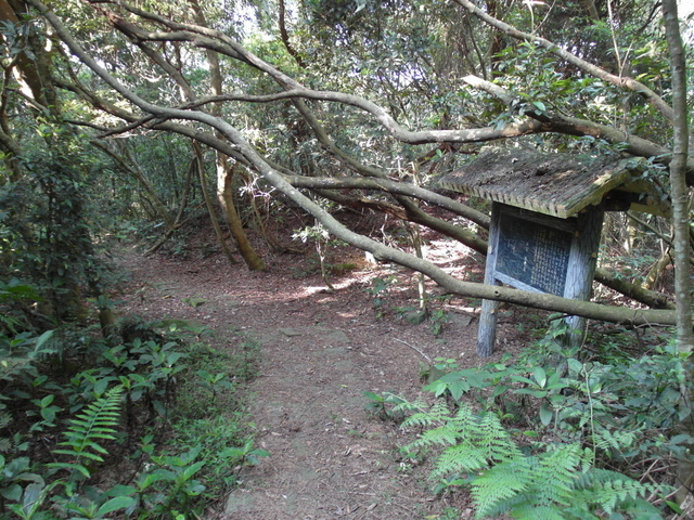 牛埔寮古道 (120).JPG