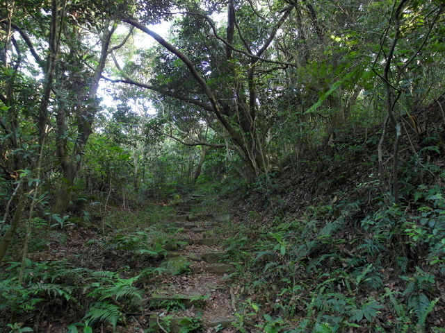 牛埔寮古道 (121).JPG