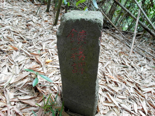 小分林山 (55).JPG