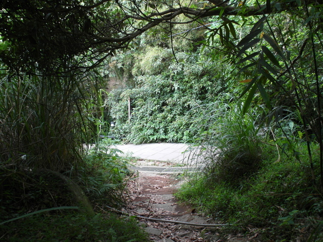 楓櫃斗湖步道 (155).JPG