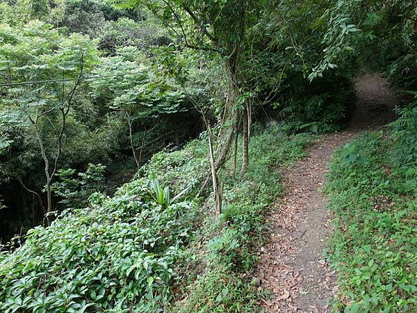 楓櫃斗湖步道 (161).JPG