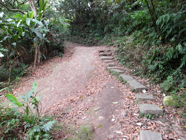 楓櫃斗湖步道 (189).JPG