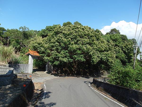 御史坑山 (51).JPG