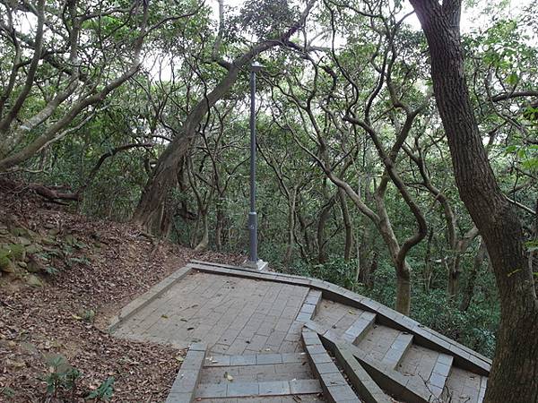 十八尖山 (299).JPG