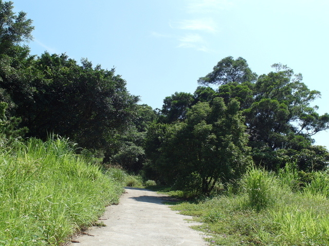 牛埔寮古道 (190).JPG