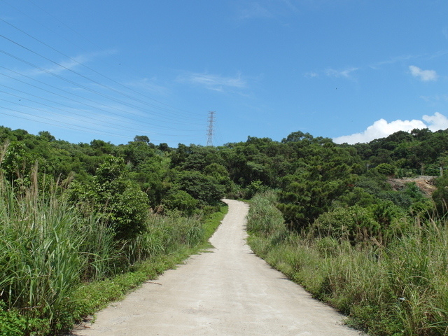 牛埔寮古道 (192).JPG