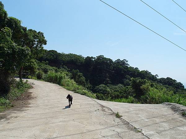 牛埔寮古道 (194).JPG