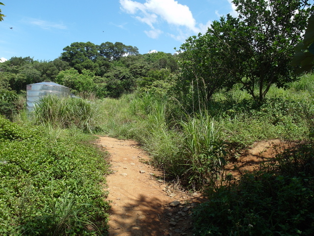 牛埔寮古道 (202).JPG