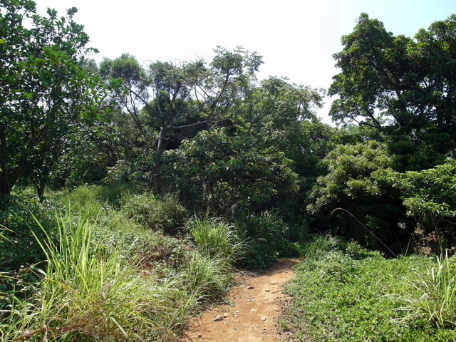 牛埔寮古道 (210).JPG