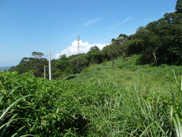 牛埔寮古道 (208).JPG