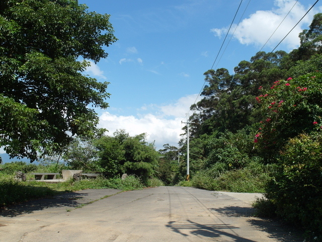 牛埔寮古道 (228).JPG