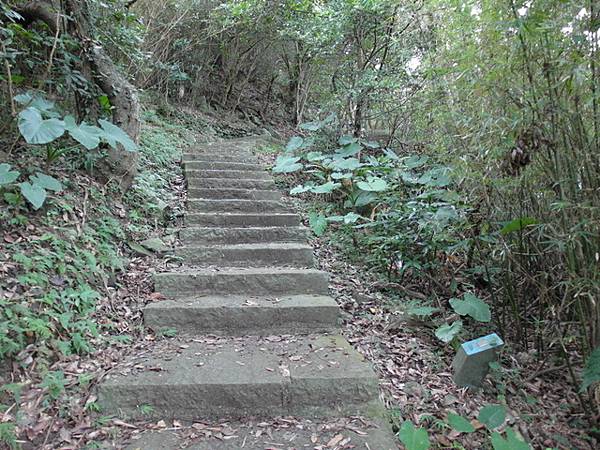 牛埔寮步道 (87).JPG