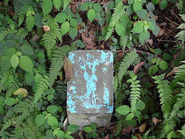 牛埔寮步道 (121).JPG