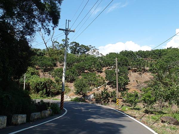 牛埔寮步道 (260).JPG