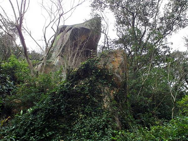 牛埔寮步道 (325).JPG