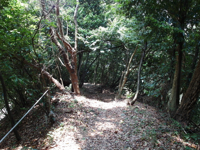 田埔巷 (110).JPG