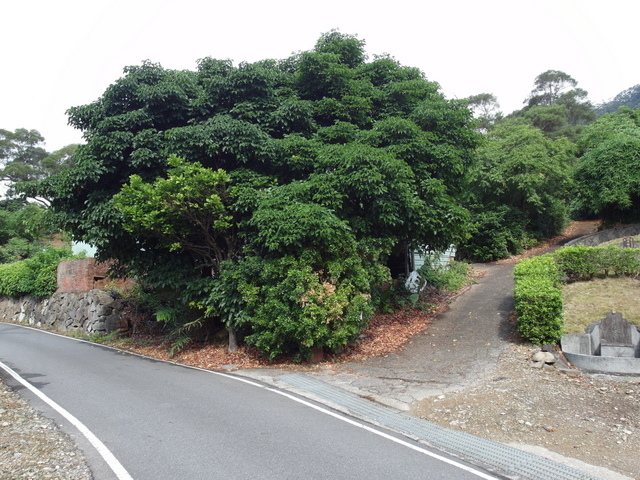 田埔巷 (221).JPG