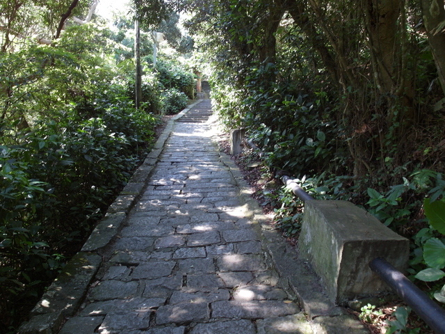 福隆山步道 (67).JPG