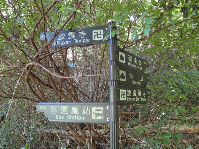 福隆山步道 (98).JPG