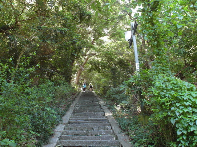 福隆山步道 (103).JPG