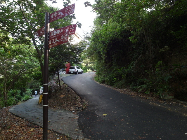 福隆山步道 (129).JPG