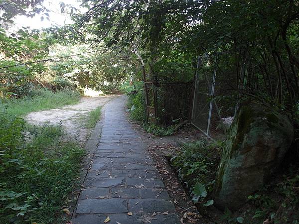 福隆山步道 (132).JPG
