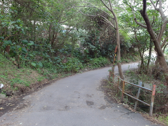 福隆山步道 (162).JPG