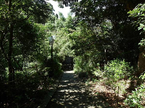 林梢步道 (18).JPG