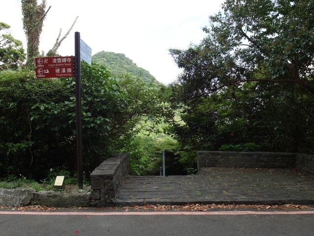 林梢步道 (146).JPG