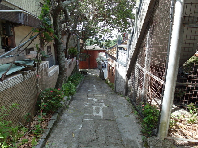 福隆山步道 (204).JPG