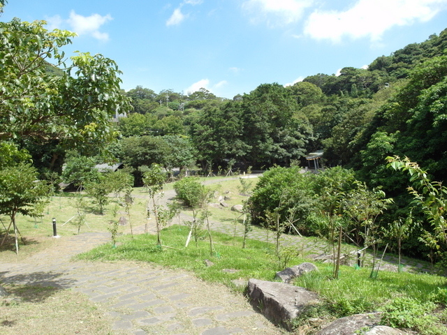 福隆山步道 (221).JPG