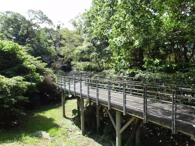 福隆山步道 (225).JPG