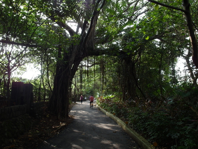 淡水河右岸自行車道 (54).JPG