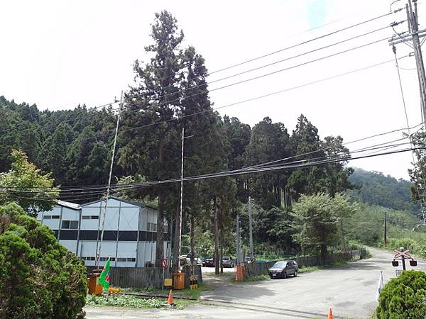 二萬坪 (37).JPG