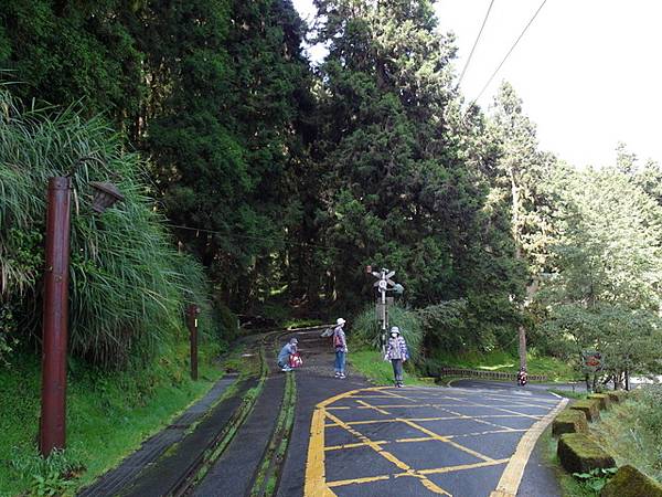 水山線鐵道 (10).JPG