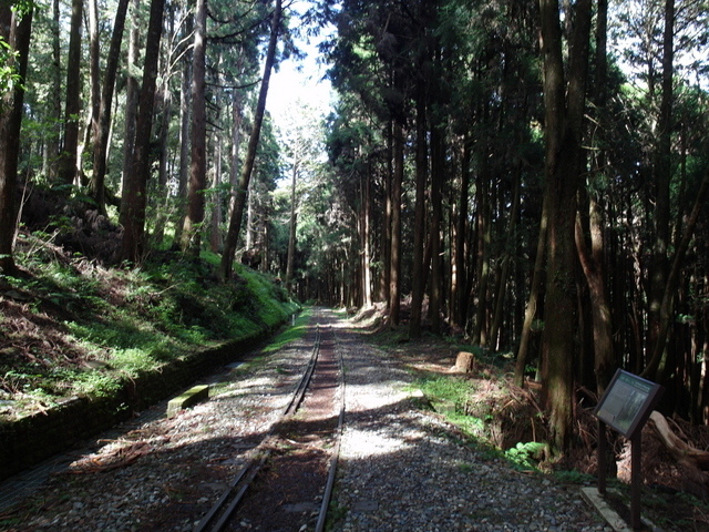 水山線鐵道 (21).JPG