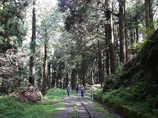 水山線鐵道 (28).JPG