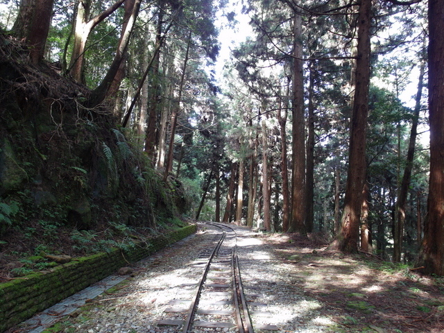 水山線鐵道 (29).JPG