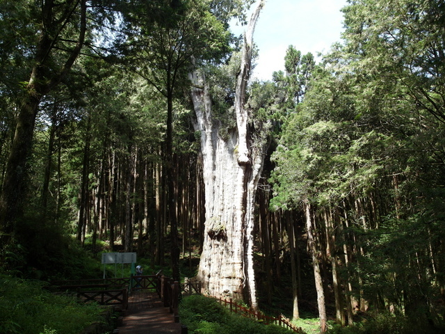 水山線鐵道 (53).JPG