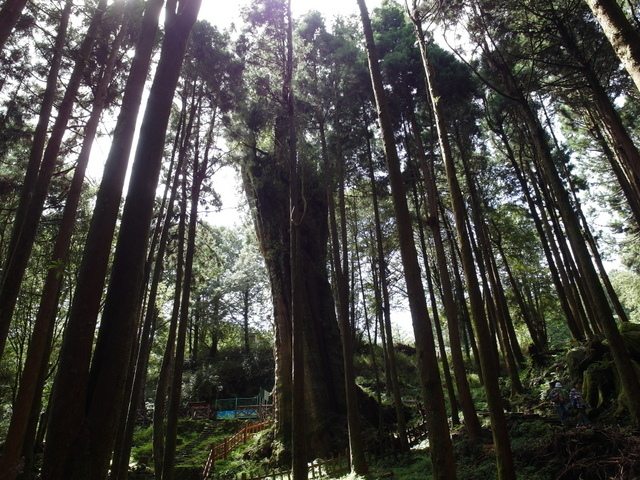 水山線鐵道 (56).JPG