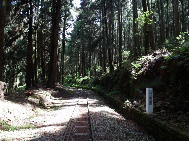 水山線鐵道 (65).JPG