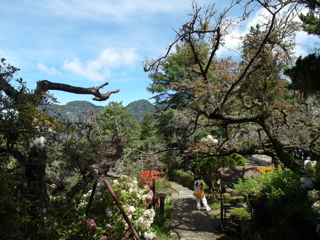 阿里山賓館 (54).JPG