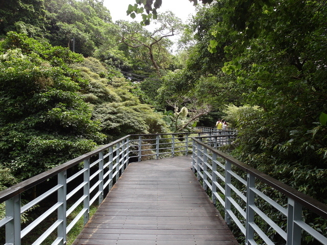 林梢步道 (293).JPG