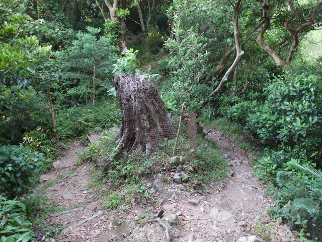 摩天嶺 (151).JPG