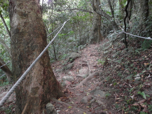 摩天嶺 (170).JPG