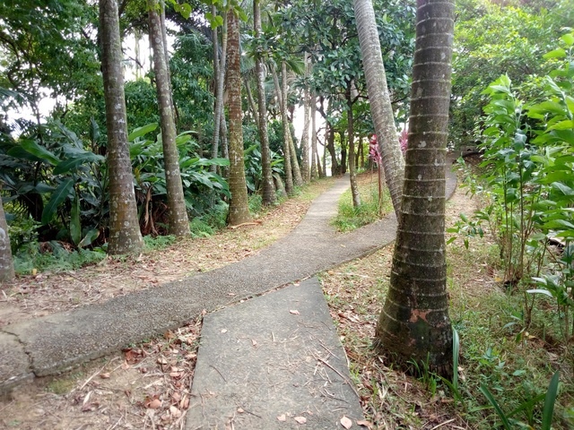 小南港山 (53).jpg