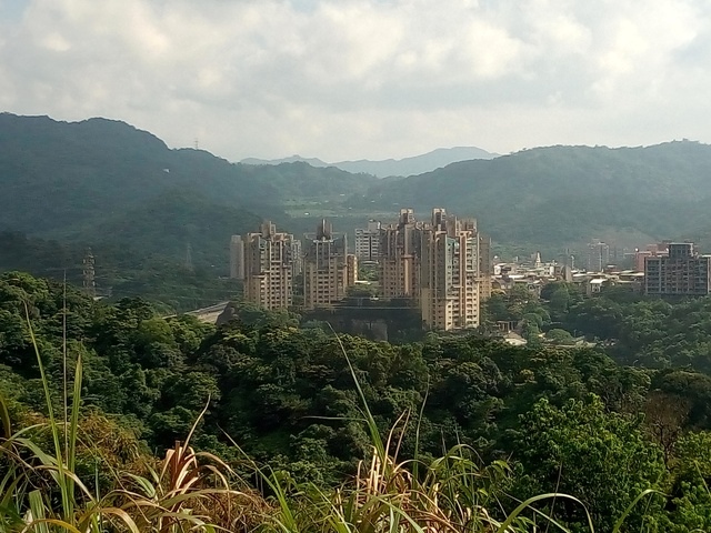 小南港山 (63).jpg