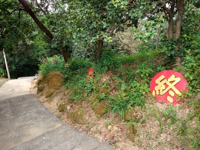 小南港山 (97).jpg